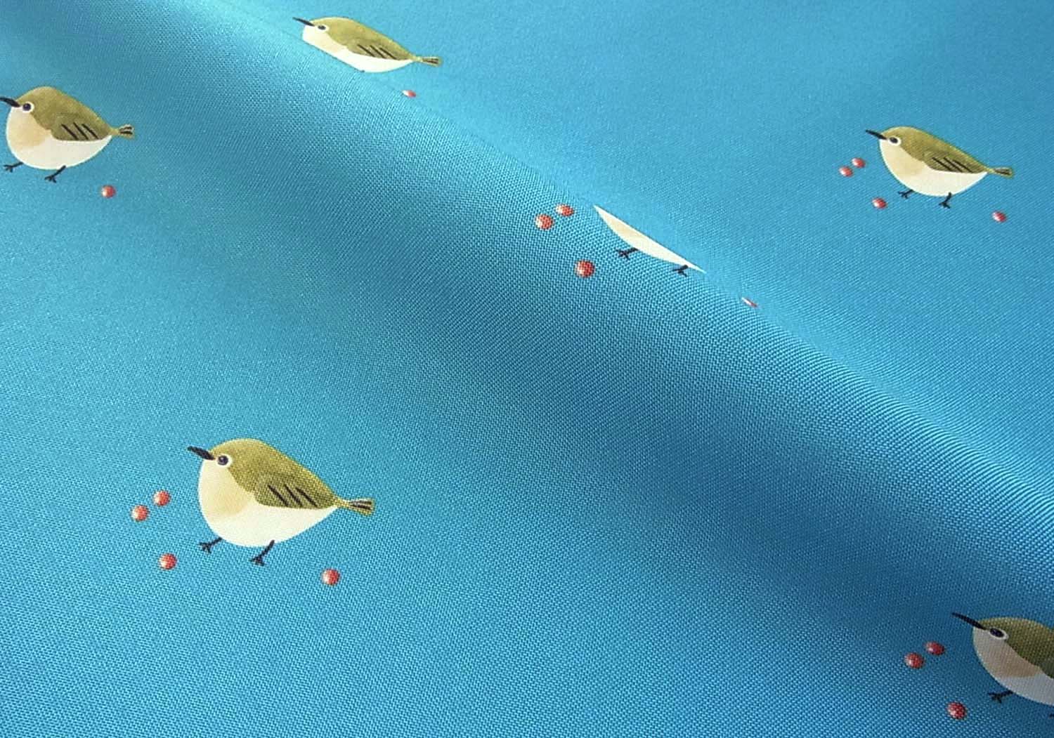 メジロと赤い実トップ