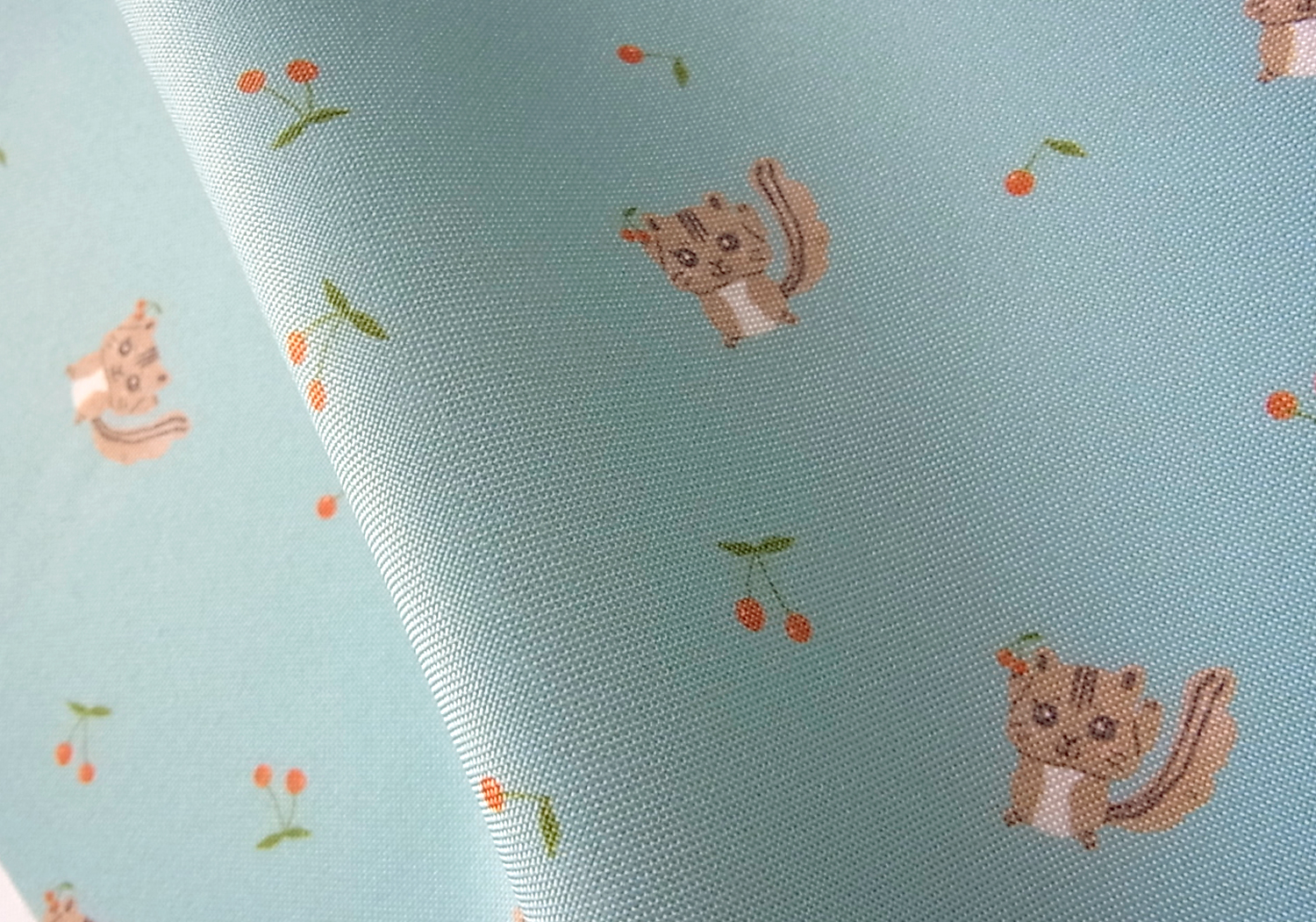 さくらんぼ、バンザーイ！トップ